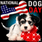 National Dog Day!