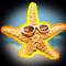Sun Bleached Starfish
