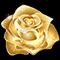 Gold Rose