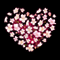 Cherry Flower Heart