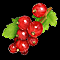 Moist Berries