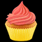 Special Cupcake