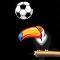 Toucan Play That Game