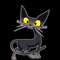 Black Pussy Cat