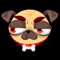 Grumpy Pug