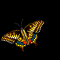 fubar's Butterfly
