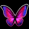 Perfect Pink Butterfly