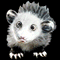Pet Possum