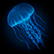 Pet Jellyfish