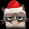 Grumpy Christmas Cat 2013