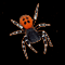 helloween_spider.gif