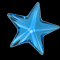 Baby Blue Starfish