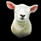 Lovable Lamb