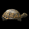 Pet Turtle