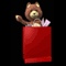 Teddy Bear Surprise