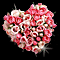 Thousand Roses