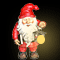 2015_gnome_with_light.gif