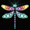 Jeweled Dragonfly