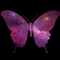 Cosmic Butterfly