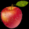 Apple of Sin