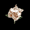 Sparkling White Rose