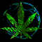 Cannabis Beacon