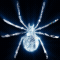 Blue Diamond Spider