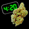 420 O'Clock