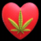 Marijuana Lover