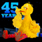 Sesame Street: 45th Anniversary!