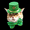 Irish Kitty