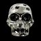 Liquid Metal Skull