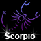 Midnight Scorpio