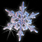 Perfect Snowflake