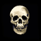 Skull of Rock
