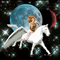 Unicorn Ride